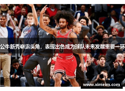 公牛新秀崭露头角，表现出色成为球队未来发展重要一环